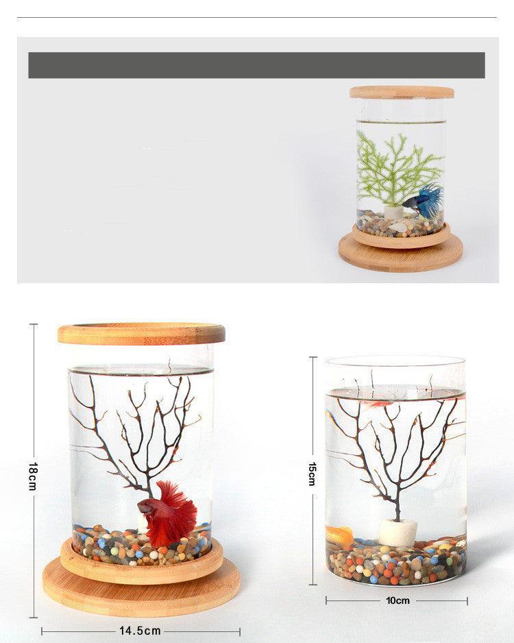 Bamboo Base Mini Glass Aquarium