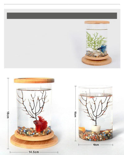 Bamboo Base Mini Glass Aquarium