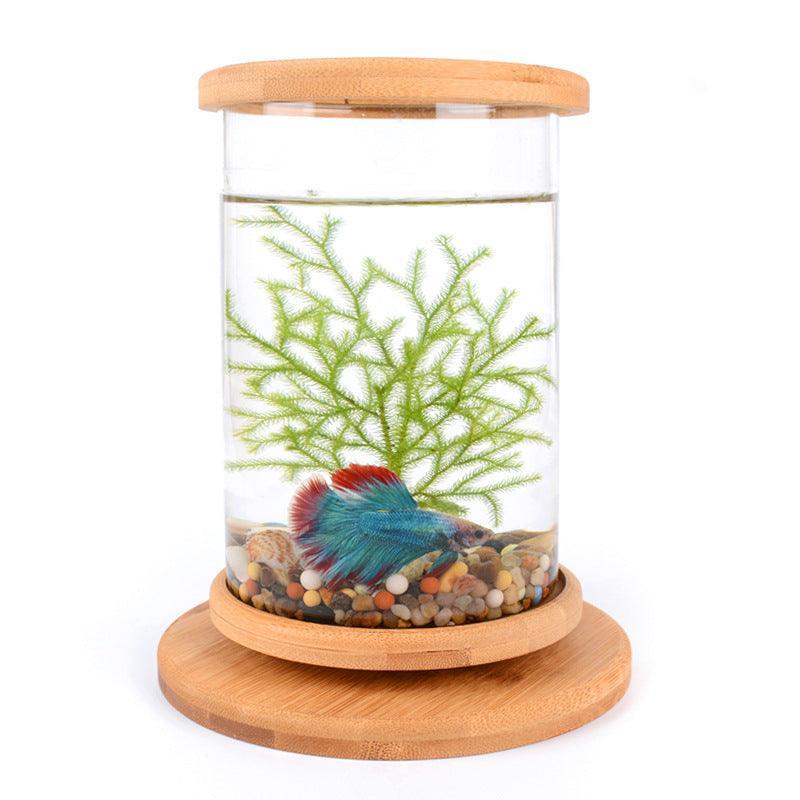 Bamboo Base Mini Glass Aquarium