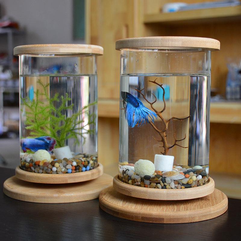 Bamboo Base Mini Glass Aquarium