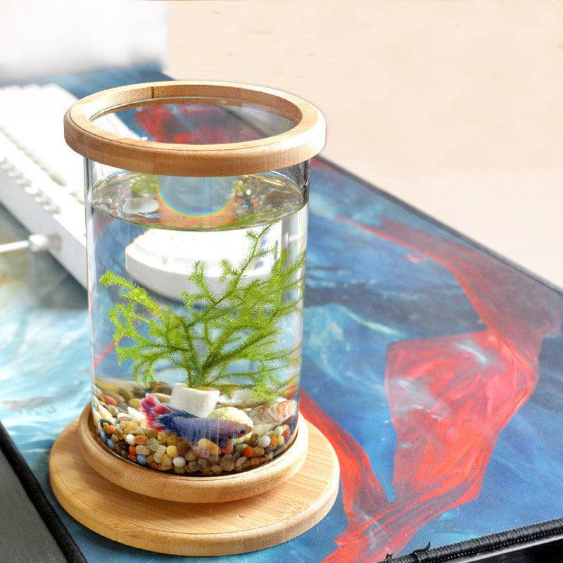Bamboo Base Mini Glass Aquarium