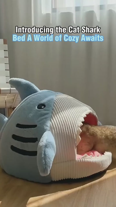 Shark Shape Cat Dog Bed House